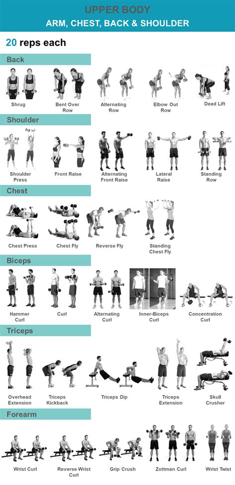 Upper body dumbbell workout – Artofit 