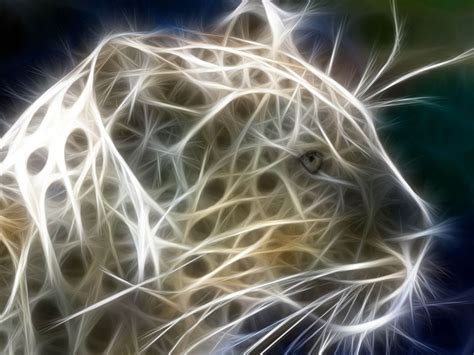 🔥 [50+] 3D Tiger Wallpapers | WallpaperSafari