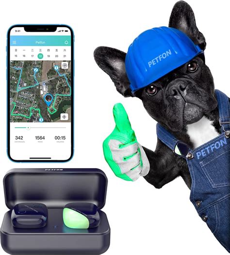 5 Best Gps Dog Trackers 2023