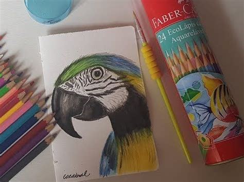 Desenhando Lápis Aquarelável Faber Castell YouTube Lapis