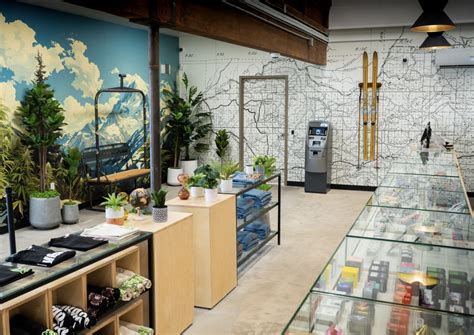 Embarc Dispensary: Where Artistry Meets Cannabis - Tahoe Production House