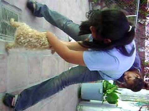 SEXY PERRA LATINA YouTube