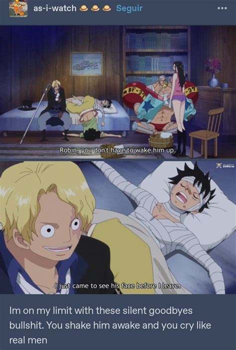 Pin By Eris On One Piece In 2024 One Piece Tumblr One Piece Cartoon