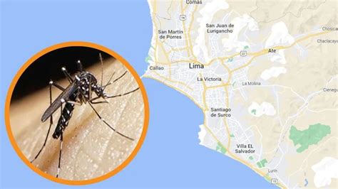 Dengue Se Propaga En Lima Metropolitana Estos Son Los Distritos Con