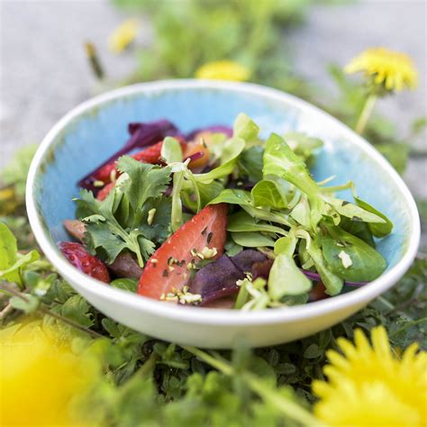 Blattsalat mit Erdbeeren und gehackten Kürbiskernen dazu ein dunkles