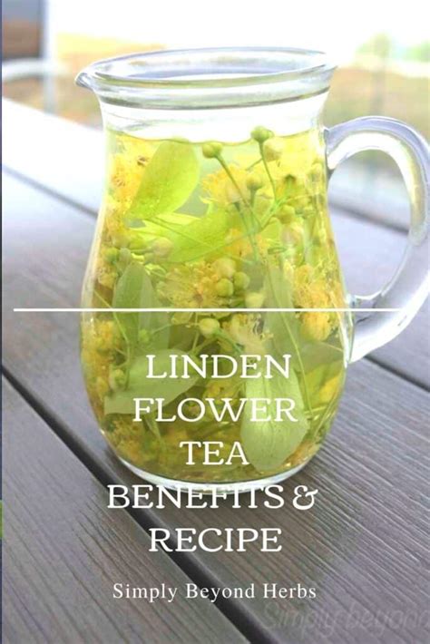 How to make linden tea - SimplyBeyondHerbs