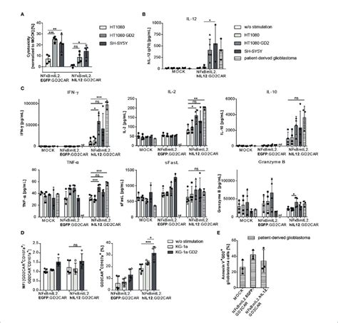 Increased Cytotoxic Potential Of Modified Nk 92 Cells With