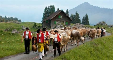 a group of people walking down a road next to cows