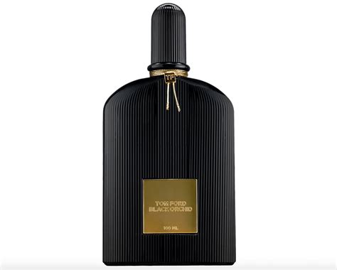 7 Spot On Black Opium Dupes Designer Fragrance On A Budget