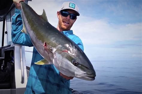 FIELD TRIPS USA In NZ For GIANT Yellowtail Kingfish Snapper NZ