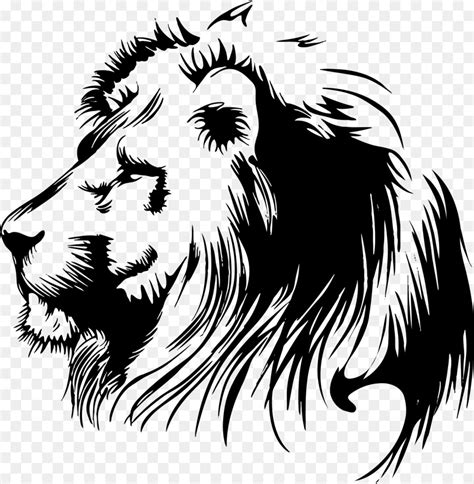 Le O Lionhead Cougar Png Transparente Gr Tis