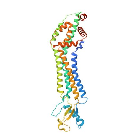 RCSB PDB 8GTR CryoEM Structure Of Human Pannexin Isoform 3