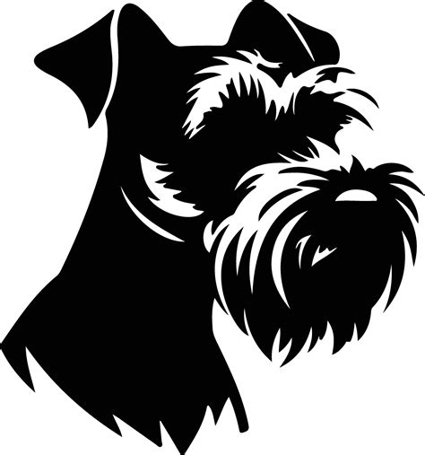 Miniature Schnauzer Silhouette Portrait 38491400 Vector Art At Vecteezy