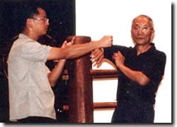 Learn Kung fu and chinese Martial Arts Training Techniques : Master of ...