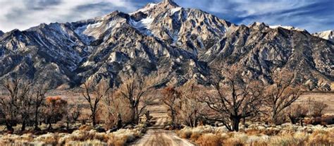 Inyo county crime graphics