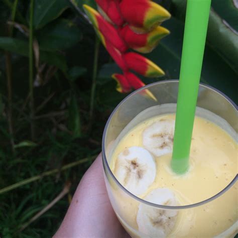 Easy Mango Banana Smoothie Recipe Allrecipes