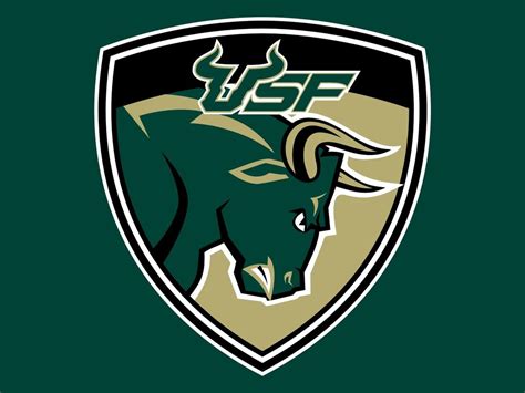 Usf bulls Logos