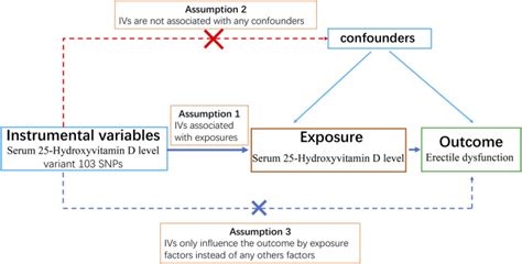 Serum Hydroxyvitamin D Level And Erectile Dysfunction A Causal