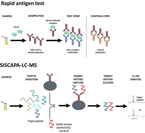 A High Throughput Immuno Affinity Mass Spectrometry Method For