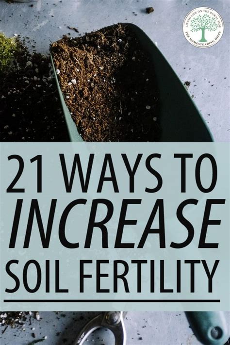 Ways To Increase Soil Fertility