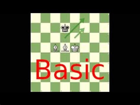 Basic Checkmates King And Two Bishops Against King Youtube