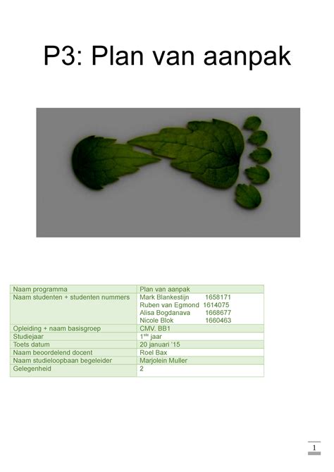 Werkstukessay P3volledig 1 P3 Plan Van Aanpak Naam Programma Plan