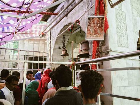 Jwalaji Devi Blessings Of Flames Traveler Tree