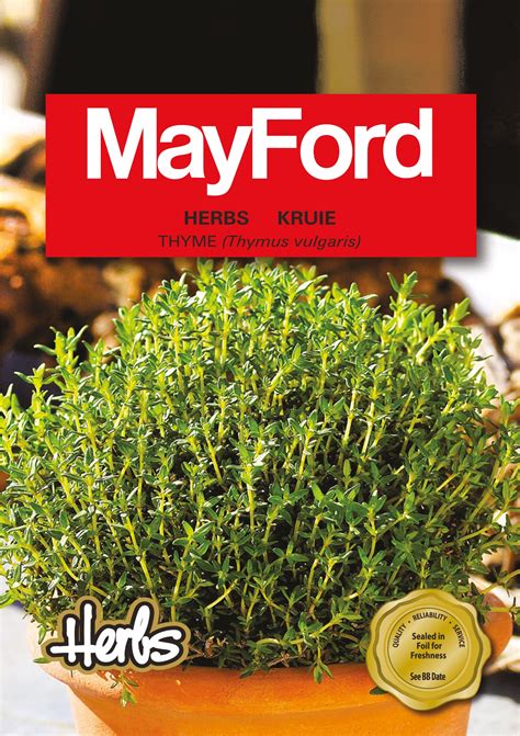 Thyme | Mayford