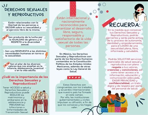 Secundaria Técnica 116 Turno Vespertino Cartilla De Derechos Sexuales