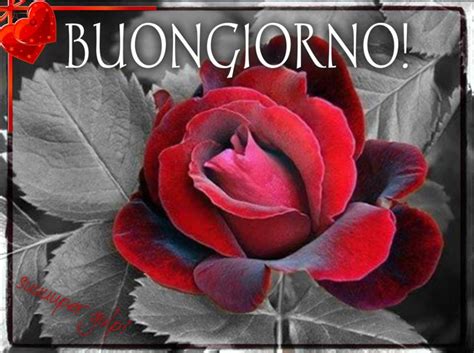 Un Felice Buongiorno Con I Fiori BuongiornoATe It