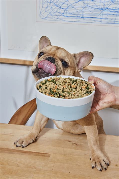 Healthier Food for a Healthier Dog | Hundefutter, Hunde futter, Bestes