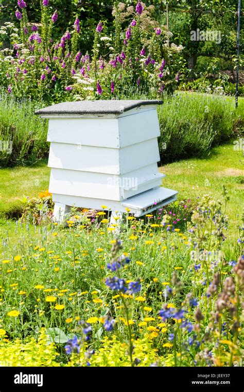 Traditional Wooden Beehive In An English Country Garden In The Summer