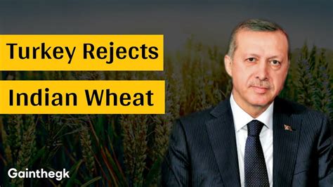 Why Turkey Rejects Indian Wheat What Is The Real Reason Behind This