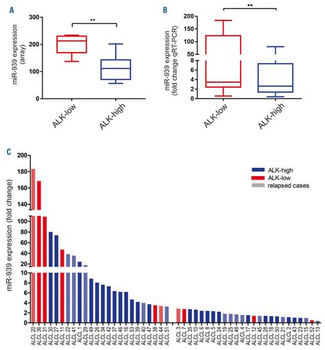 Mir 939 Acts As Tumor Suppressor By Modulating Junb Transcriptional