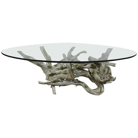Mid Century Modern Driftwood Coffee Table With Glass Top At 1stdibs