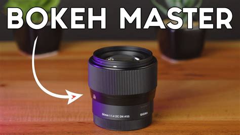 Bokeh Master Sigma 56mm F1 4 Mit Zv E10 Lohnt Es Sich Im Jahre 2022