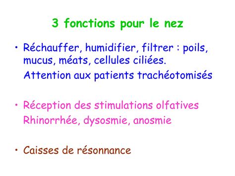 Anatomie Physiologie De Lappareil Respiratoire Ppt