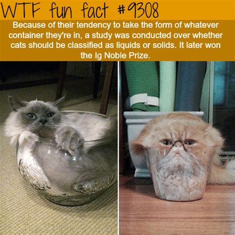 Wtf Fun Facts Page Of Funny Interesting And Weird Facts