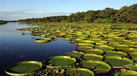 Inventario De Humedales En Corrientes