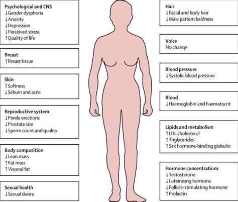 Estrogen Side Effects