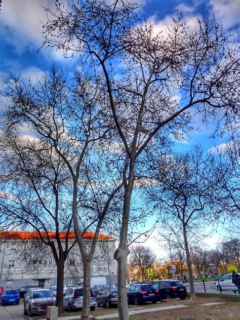 Barrio De Cuatro Vientos Madrid Spain Carlos Cuerda Flickr