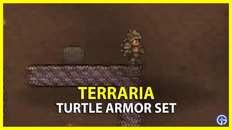 How To Get Turtle Armor In Terraria Gamer Tweak