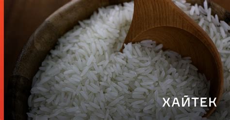 Биологи создали сорт риса, который может производить семена без участия ...