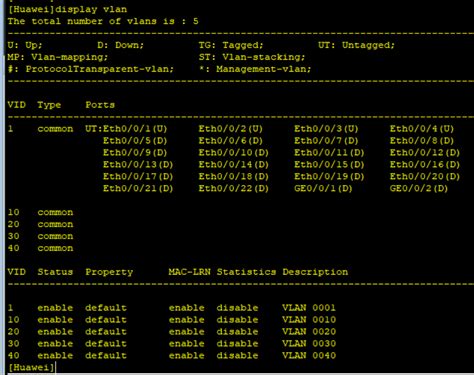 Ensp Vlan Ensp Vlan Csdn