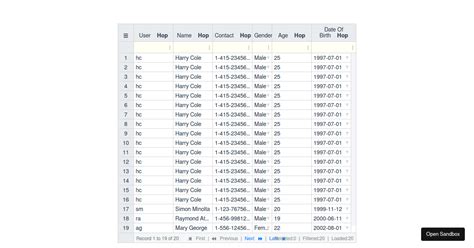 Vue Excel Editor Examples CodeSandbox