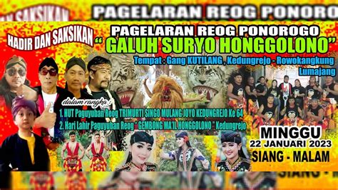 PAGELARAN REOG PONOROGO GALUH SURYO HONGGOLONO LIVE DESA KEDUNGREJO