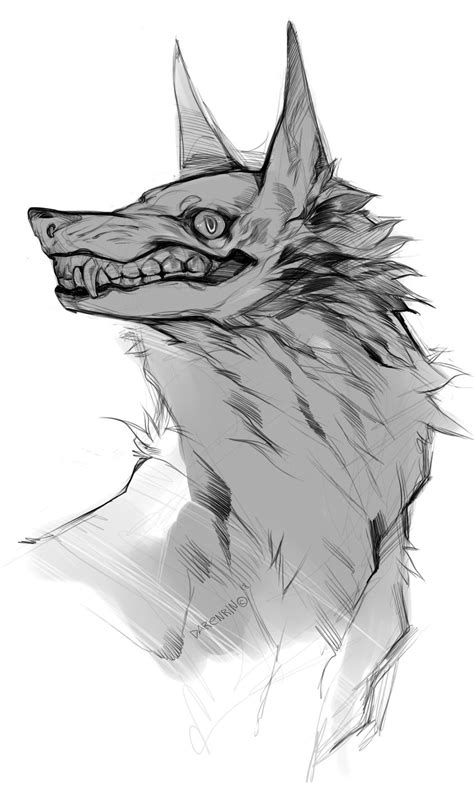 Canine Drawing Canine Art Wolf Drawing Wolf Character Fantasy