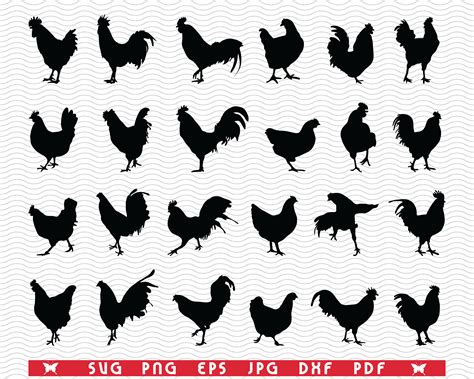 SVG Roosters Hens Silhouettes Digital Clipart By DesignStudioRM