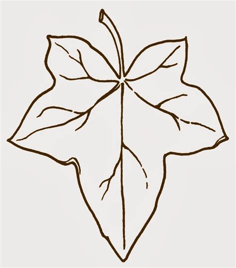 Outline Of Ivy Leaf Clip Art Free Image Download