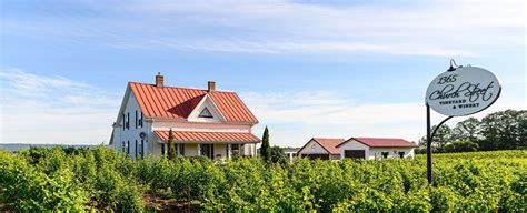 Vineyard And Winery In The Annapolis Valley Near Wolfville Nova Scotia